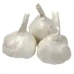 Garlic Bulbs